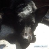 YaimaMartin foto #16