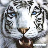 mezi chico soltero en La Peluda