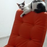 Foto de perfil de 10724205561233497386