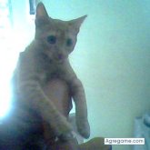 rafacom chico soltero en Ugijar