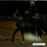 Chatear con Miguemacias de Oiba