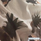 Chatear con cheerry27 de Isidro Casanova