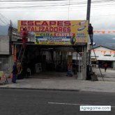 luisfernando4443
