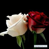 debusy chico soltero en Corralejo