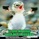 jose dan