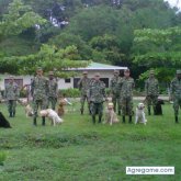 joseluisgelvez chico soltero en Punta De Mata