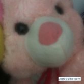 Leopardo1565 chico soltero en Corona