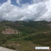 patria chico soltero en Caracas