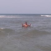 Evelio