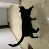 geta chico soltero en Oviedo