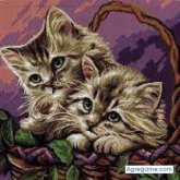 Chatear con Sagitarios61 de Casma