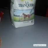 Miguel Pardo