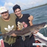 Ver fotos más de Aagustin11