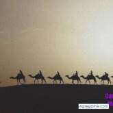 Hammadi