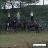 Busco pareja. Mujeres solteras. Hombre.