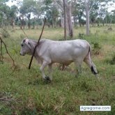 derikandrade chico soltero en Stillwater