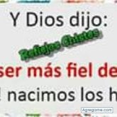 Foto de perfil de yanecsongarcia