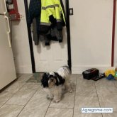 Chicas serca de mi. Soy amable amoroso