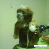 JuanKenai chico soltero en San Juan