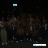 elGALLOxobs foto #16