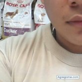 Chatear con thomas1984 de Natá