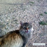 eugeni chico separado en Tarragona