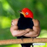 saulde chico soltero en Medina Del Campo