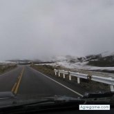 emunafe chico soltero en Moquegua