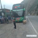 Mujeres. Tranquilo y respetuoso. De