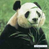 ManuelBethencourt28 chico soltero en Campo De Carabobo