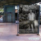 AmigoCubano foto #12