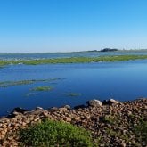 Busco conocer gente. Chicas de 50 para