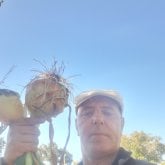 Foto de perfil de Yimbocras