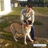 miquel28