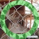 Jose Luis Herrera Silva