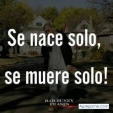 Foto de perfil de angelcuero