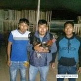 Foto de perfil de kevinochoa4628