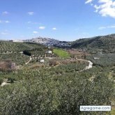 Busco conocer gente.