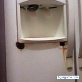 ninotam chico soltero en Tampico