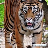 Chatear con aurelior7570 de Hanover Park