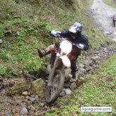 jarn foto #9