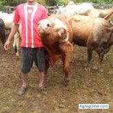 Foto de perfil de carlossanchez9191