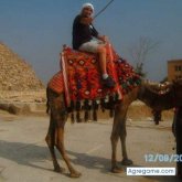 FRANBALA chico soltero en La Pobla De Vallbona