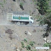 thiagoleonardo foto #8