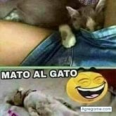 Foto de perfil de antoniosegundo2987