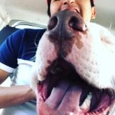 Busco pareja. Mujeres. Chevere. Todo.