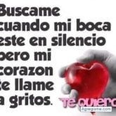Perreo Intenso