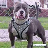 Manuelfernandovelazq chico soltero en Danlí