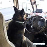 expediciones chico soltero en Utiel