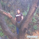 Chatear con lion de Hermosillo